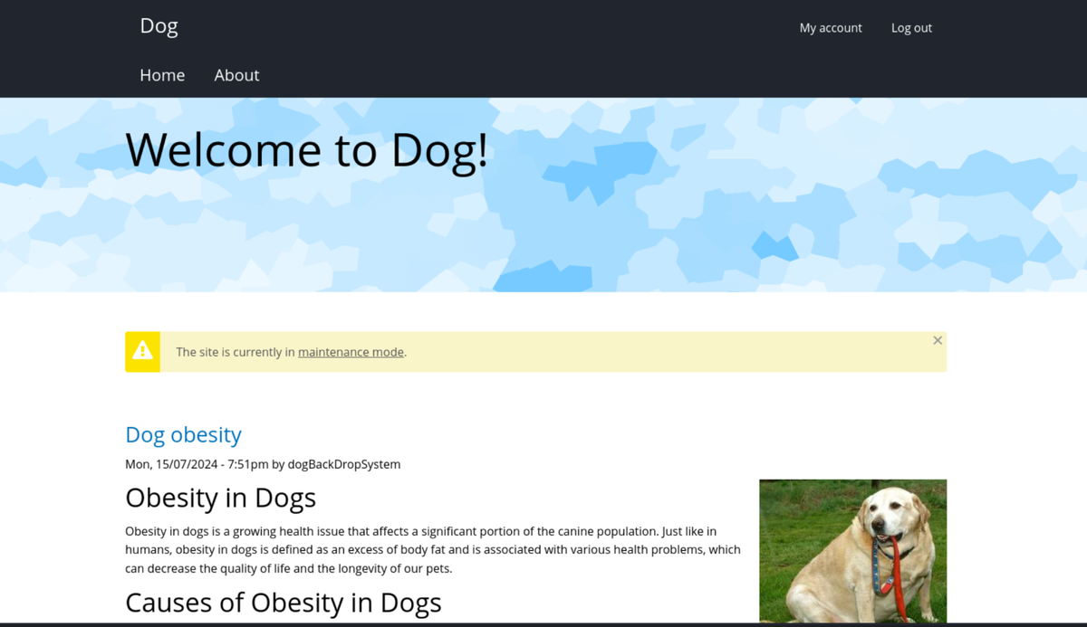 Dog Walkthrough - HTB Easy box